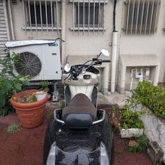 YAMAHA　MAXAM　実動車の画像