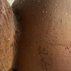 🉐一時値下げ中　信楽焼　狸の壺　骨董　立派な逸物の画像