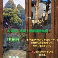 木の伐採、草刈り致します🌲！