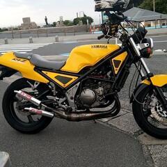 バイク仲間募集🏍️