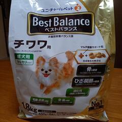 チワワの餌