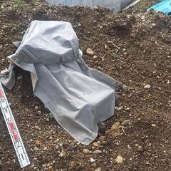 残土あげます（４ｔダンプ１車以上から～）
