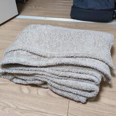 シングル　毛布　