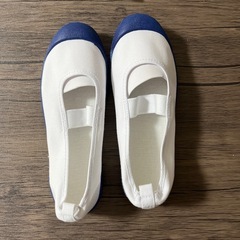 上履き専用靴（小学校などの指定靴）21.５センチ未使用品の画像