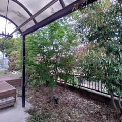 【庭木剪定サービスのご案内】熊谷市の皆さまへ☀スッキリ整え…