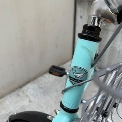 現金決済］コーダーブルーム 24インチ