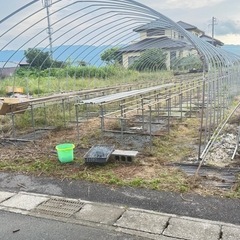 中古　ビニールハウス　農業　園芸　野菜　フルーツ　1ハウス5.5...