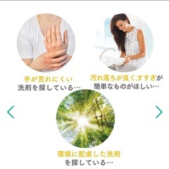 Amway 台所洗剤＆ハウスクリーナーの画像
