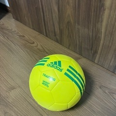 【受付終了】サッカーボール（練習用、鑑賞用）