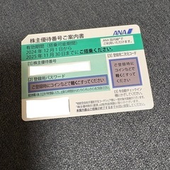 ANA株主優待券　2025年11月30日まで