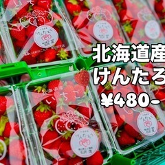 北海道産の甘くて美味しい🍓けんたろう