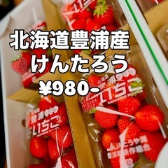北海道豊浦の甘くて美味しい🍓けんたろう