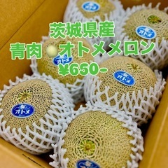 茨城県産🍈青肉オトメメロン