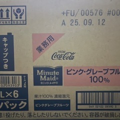 ミニッツメイド　ピンクグレープフルーツ1L×6本の画像