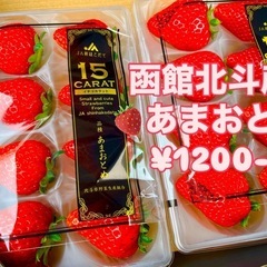 【1パック限定】ネットショップ売切希少品✨函館産🍓最高級いちご🍓...