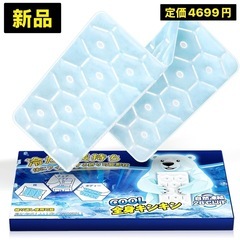 新品 【日本業界初！28℃で自然凍結】GGPT アイス枕 氷嚢 ...