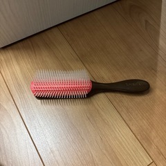 デンマンブラシの画像
