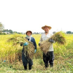農家さん、お米、お野菜、買います！農業お手伝いします！