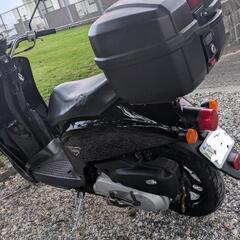 ホンダ　トゥデイの画像