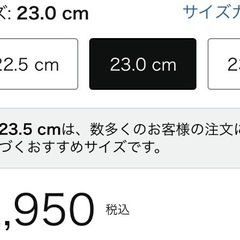 黒色定番パンプス  ストラップ取り外し可能  メーカーはアミアミ 23.0cm  オフィス ビジネス パンプス ヒール高さ3.7cm レディース 美品の画像
