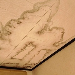 雨漏れ110番！！ − 滋賀県