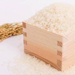 🌾 新潟産 こいしぶき 令和6年度 新米 精米済み 10kg 🌾