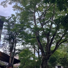 自然派、ワクチン未接種の方とお話ししたいです