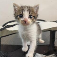 1ヶ月男の子
