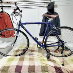 【大阪】ROVER AL-CRB7006Classic【引渡し】