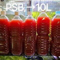 No.5【10L】PSB, 超濃縮光合成細菌　グッピーの水槽にど...