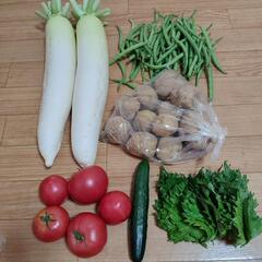 お野菜６点