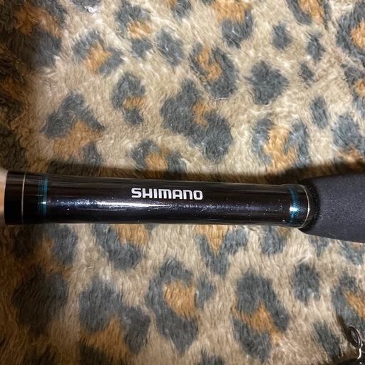 シーバスロッド