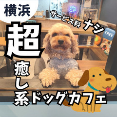 《店内ペット🆗》《少人数貸切🆗》アットホームな隠れ家カフェ🍽️