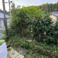草刈りお願い出来る方