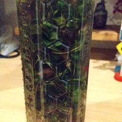水草 ミズユキノシタ？の画像