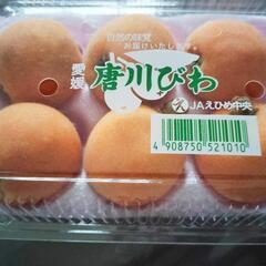 唐川びわ　６個入