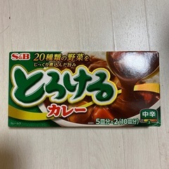 とろけるカレー 中辛