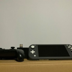 Switch Lite