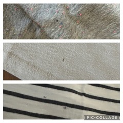 レディース グレー系セット の画像