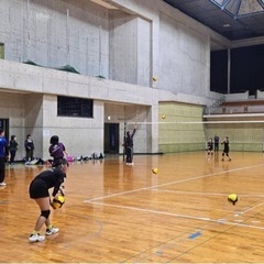 新規バレーボール練習生募集👩 - スポーツ