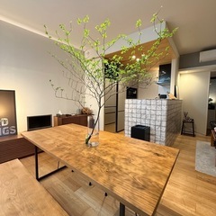 ⬛︎⬛︎お庭に生えている植物を買います⬛︎⬛︎