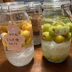 美と健康に興味のある方