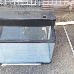 60cm水槽