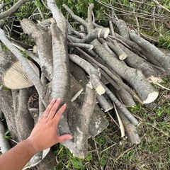 薪ストーブ 薪 焚付 剪定材の画像