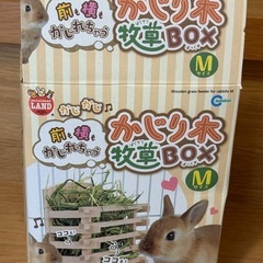 かじり木 うさぎ 新品の画像