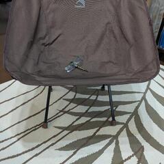 ワークマンチェアとオニヤンマの画像