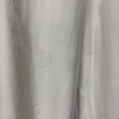 THE BEATLES ビートルズ バックプリント tシャツ の画像