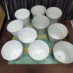 蘭鉢(プラ)10個セットの画像