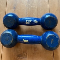 鉄アレイ　3キロ　 2個セットの画像