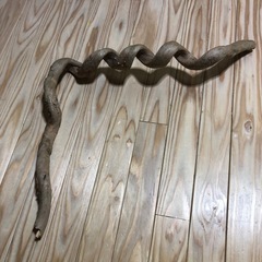 螺旋形の木？蔓？の画像